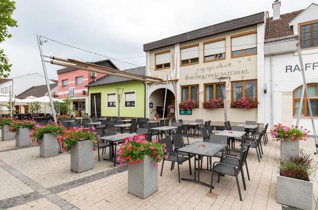 Gewerbeobjekt kaufen in 7142 Illmitz (Bild 1)