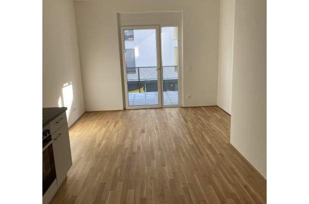 Terrassenwohnung mieten in 1220 Wien (Bild 2)