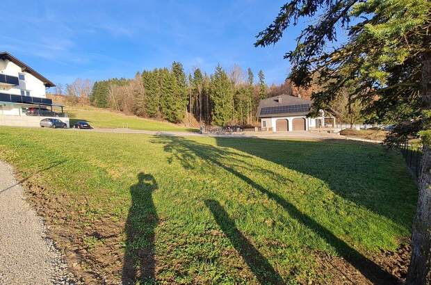 Grundstück kaufen in 4441 Behamberg (Bild 1)