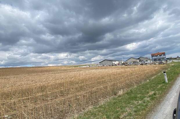 Gewerbeobjekt kaufen in 3613 Els (Bild 4)