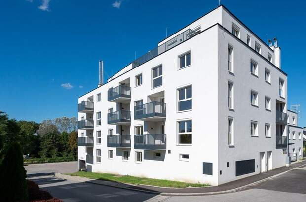 Wohnung mieten in 2410 Hainburg (Bild 1)