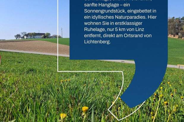 Grundstück kaufen in 4040 Lichtenberg (Bild 2)