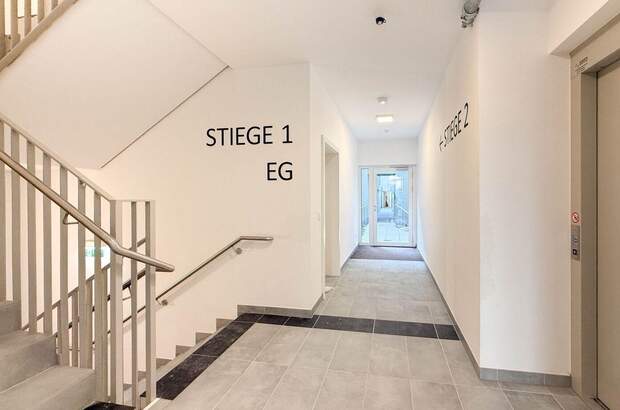 Wohnung mieten in 1100 Wien (Bild 5)