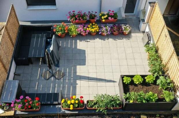 Eigentumswohnung in 4470 Enns (Bild 2)