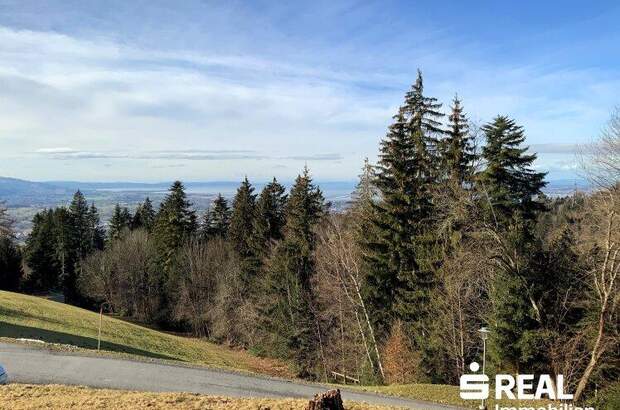 Grundstück kaufen in 6858 Bildstein (Bild 2)