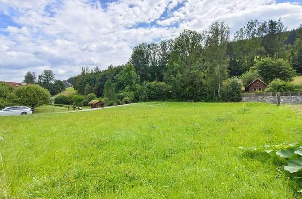 Grundstück kaufen in 8622 Etmißl (Bild 1)