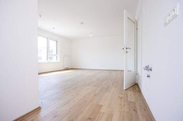 Terrassenwohnung kaufen in 2700 Wr. Neustadt (Bild 5)