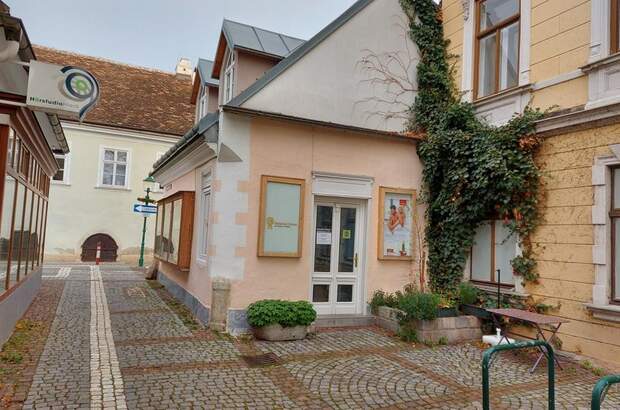 Einzelhandel kaufen in 2340 Mödling (Bild 1)