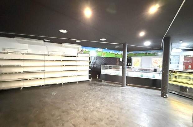 Gewerbeobjekt mieten in 1220 Wien (Bild 4)