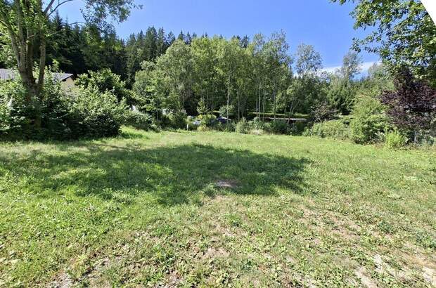 Grundstück kaufen in 4180 Saumstraß (Bild 3)