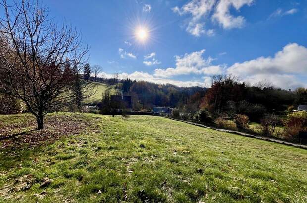 Grundstück kaufen in 8301 Laßnitzhöhe (Bild 1)