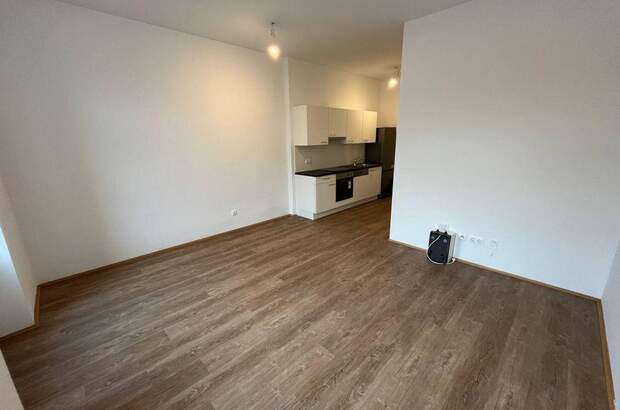 Wohnung mieten in 8700 Leoben (Bild 1)