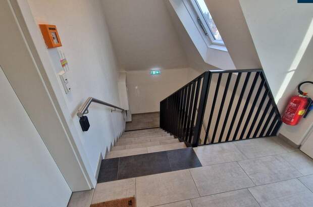 Gewerbeobjekt mieten in 8010 Graz (Bild 4)