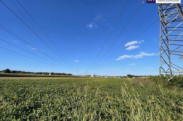 Grundstück kaufen in 8431 Gralla (Bild 3)