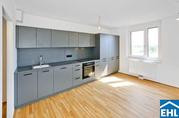 Terrassenwohnung mieten in 1220 Wien (Bild 1)