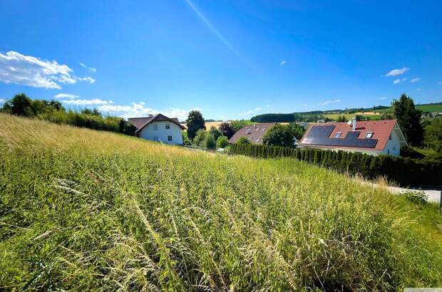 Grundstück kaufen in 4616 Weyerbach (Bild 4)