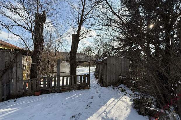 Haus kaufen in 2514 Möllersdorf (Bild 4)