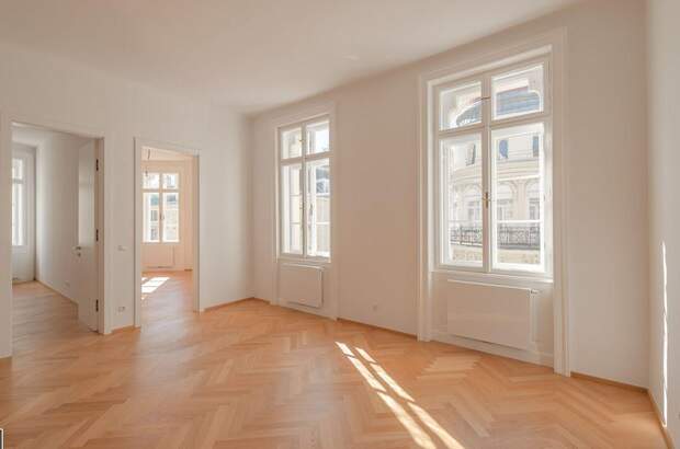 Altbauwohnung mieten in 1010 Wien (Bild 1)