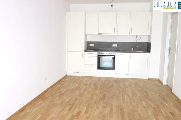 Terrassenwohnung mieten in 2500 Baden (Bild 3)