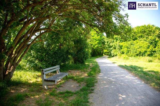 Terrassenwohnung kaufen in 1210 Wien (Bild 5)