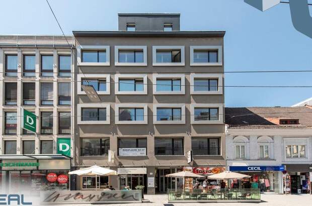 Gewerbeobjekt mieten in 4020 Linz (Bild 2)