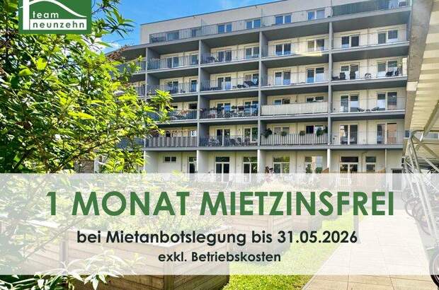 Terrassenwohnung mieten in 8020 Graz (Bild 1)