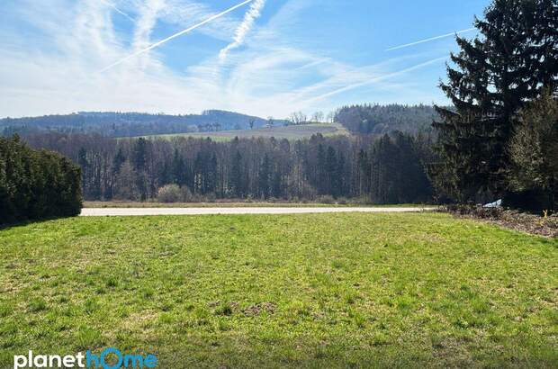 Grundstück kaufen in 3062 Kirchstetten (Bild 1)