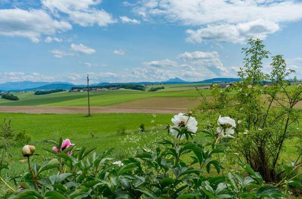 Haus kaufen in 4891 Geretseck (Bild 3)