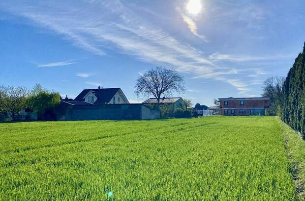 Grundstück kaufen in 2486 Pottendorf (Bild 2)