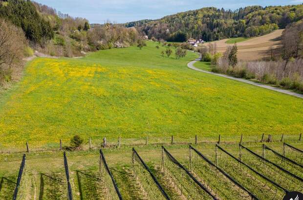 Gewerbeobjekt kaufen in 8333 Riegersburg (Bild 3)