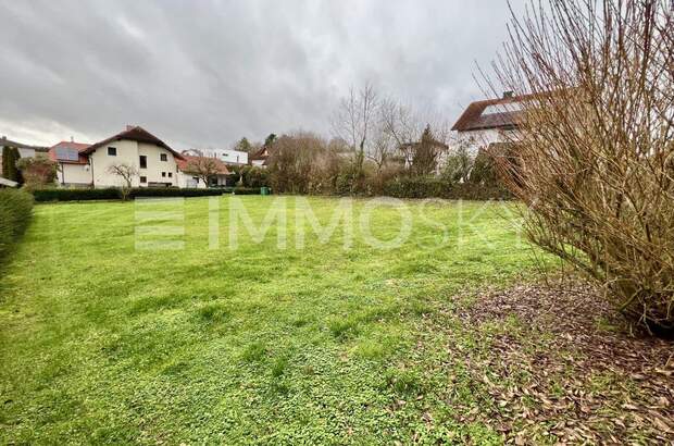 Grundstück kaufen in 4491 Niederneukirchen (Bild 4)