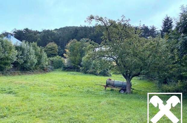 Grundstück kaufen in 2733 Grünbach (Bild 4)