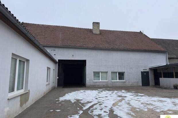 Haus kaufen in 7163 Andau (Bild 4)