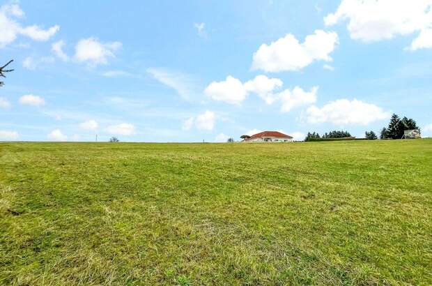 Grundstück kaufen in 7572 Deutsch Kaltenbrunn (Bild 2)