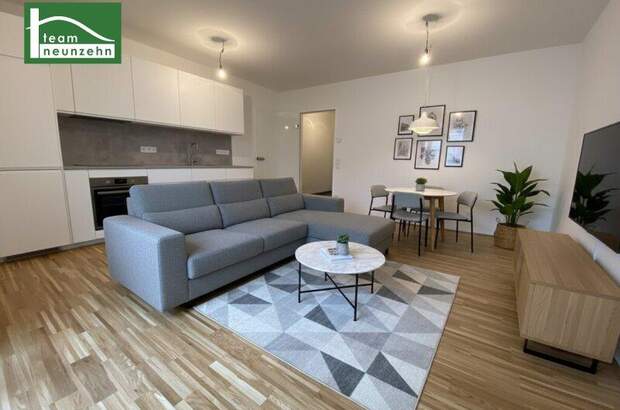 Terrassenwohnung mieten in 1230 Wien (Bild 1)