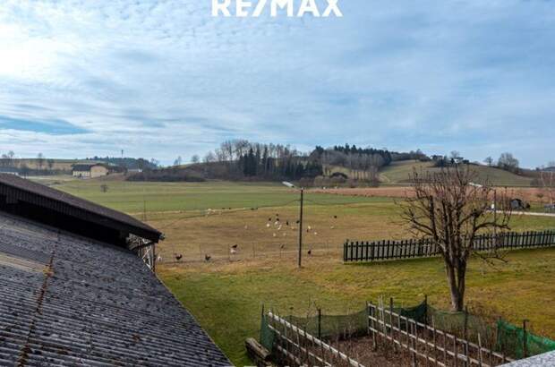 Haus kaufen in 4690 Schwanenstadt (Bild 4)