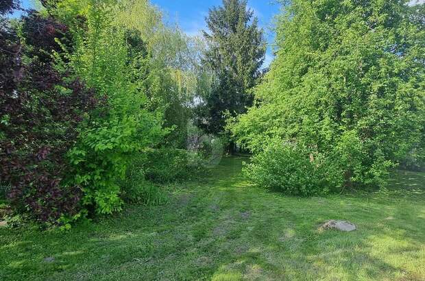 Grundstück kaufen in 3464 Hausleiten (Bild 2)