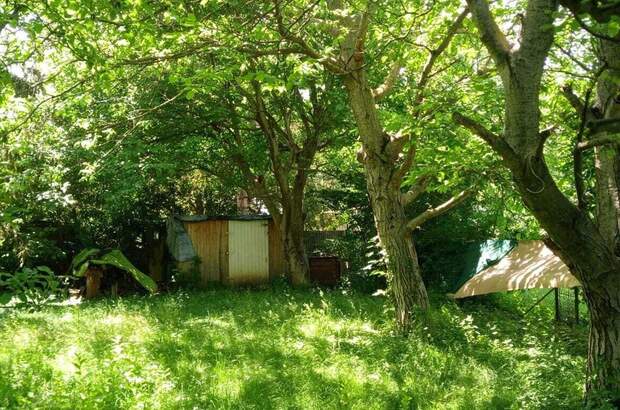 Grundstück kaufen in 1230 Wien (Bild 1)