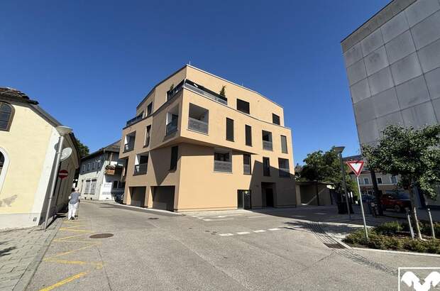 Gewerbeobjekt mieten in 4710 Grieskirchen (Bild 5)