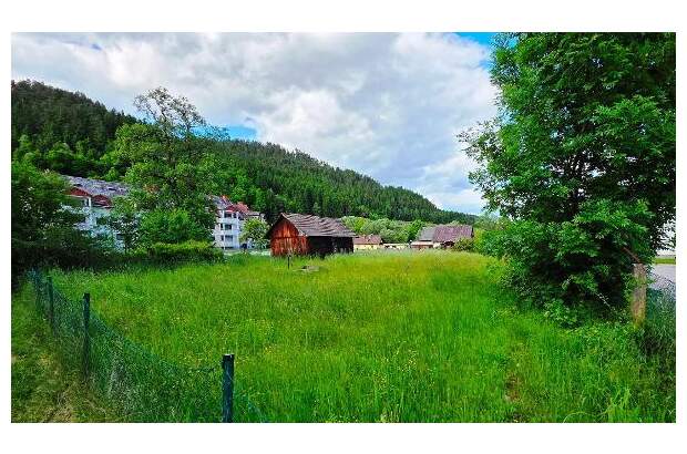 Grundstück kaufen in 9344 Weitensfeld (Bild 4)