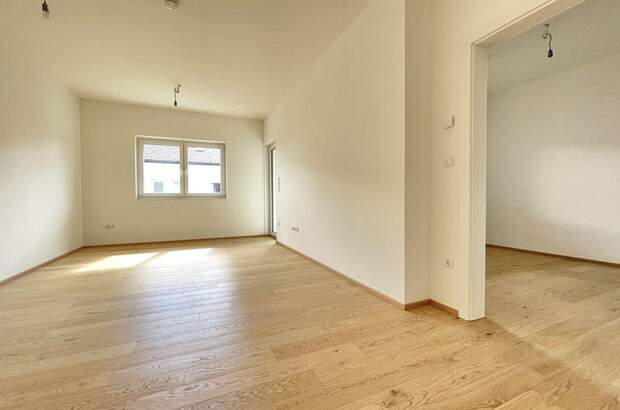 Anlageobjekt kaufen in 8435 Leitring (Bild 2)