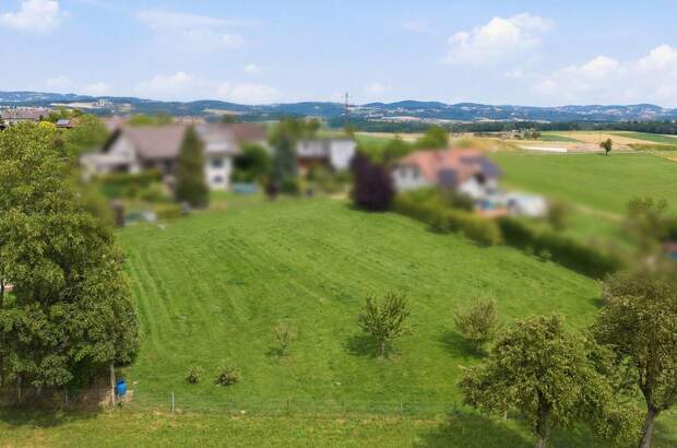 Grundstück kaufen in 4209 Engerwitzdorf (Bild 3)