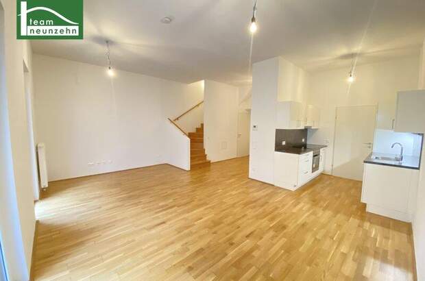 Terrassenwohnung mieten in 1210 Wien (Bild 2)