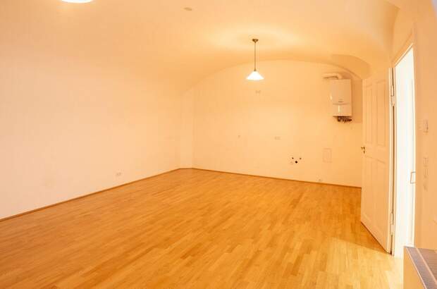 Gewerbeobjekt mieten in 1010 Wien (Bild 4)