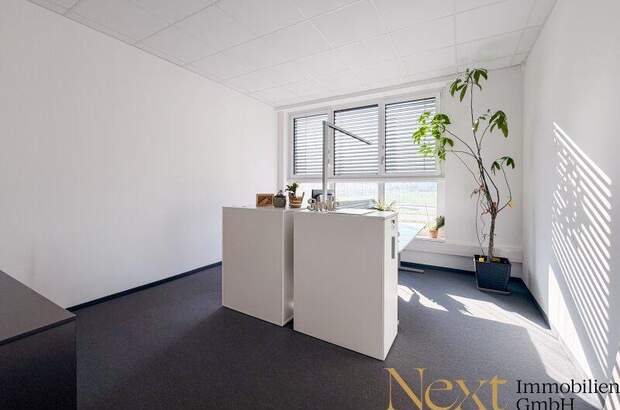 Büro / Praxis mieten in 4060 Leonding (Bild 3)