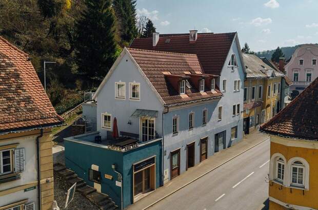 Anlageobjekt kaufen in 8461 Ehrenhausen (Bild 4)