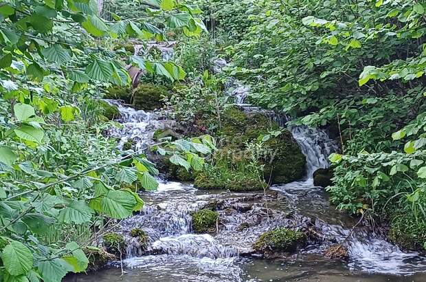 Gewerbeobjekt kaufen in 2732 Willendorf (Bild 5)