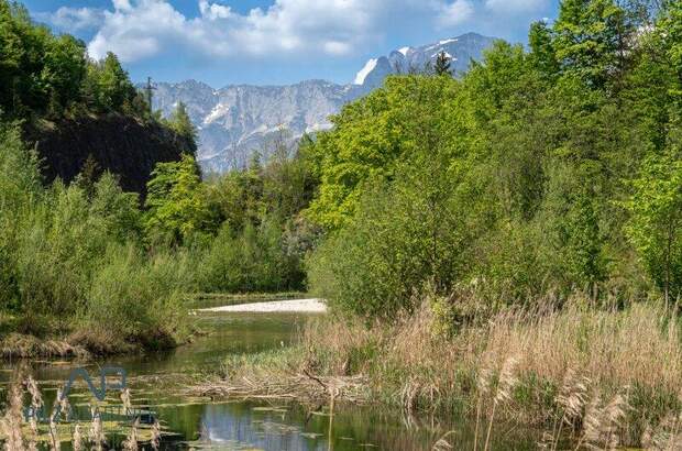 Grundstück kaufen in 5421 Adnet (Bild 3)