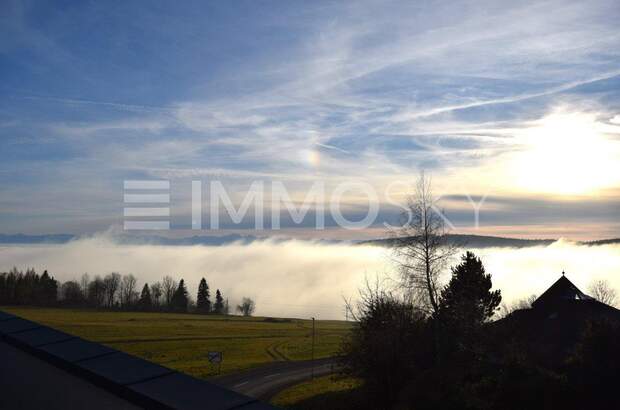 Terrassenwohnung kaufen in 4202 Kirchschlag (Bild 2)
