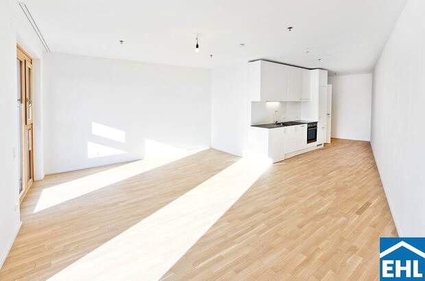 Terrassenwohnung mieten in 1100 Wien (Bild 2)